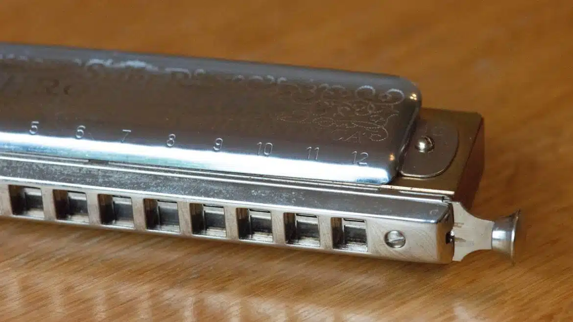 Trouvez l'harmonica parfait dans un magasin spécialisé et depuis sa vitrine en ligne